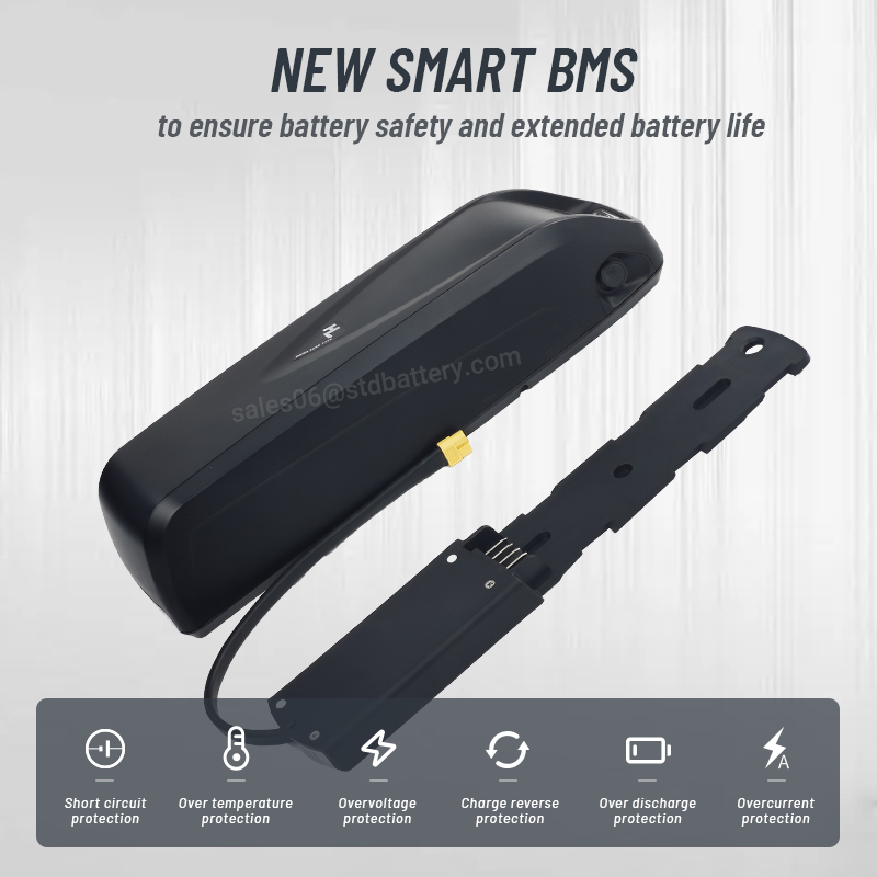 Hailong eBike แบตเตอรี่36V 48V - Ebike Battery 48V 20Ah Hailong บทวิจารณ์และราคา